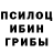 Псилоцибиновые грибы мицелий Carter Wake