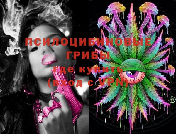 шишки Балабаново