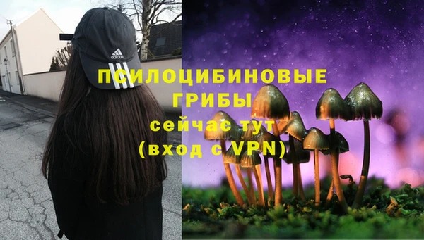 экстази Арсеньев