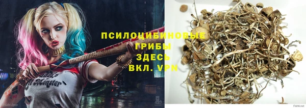 ПСИЛОЦИБИНОВЫЕ ГРИБЫ Аркадак