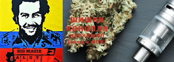 шишки Балабаново